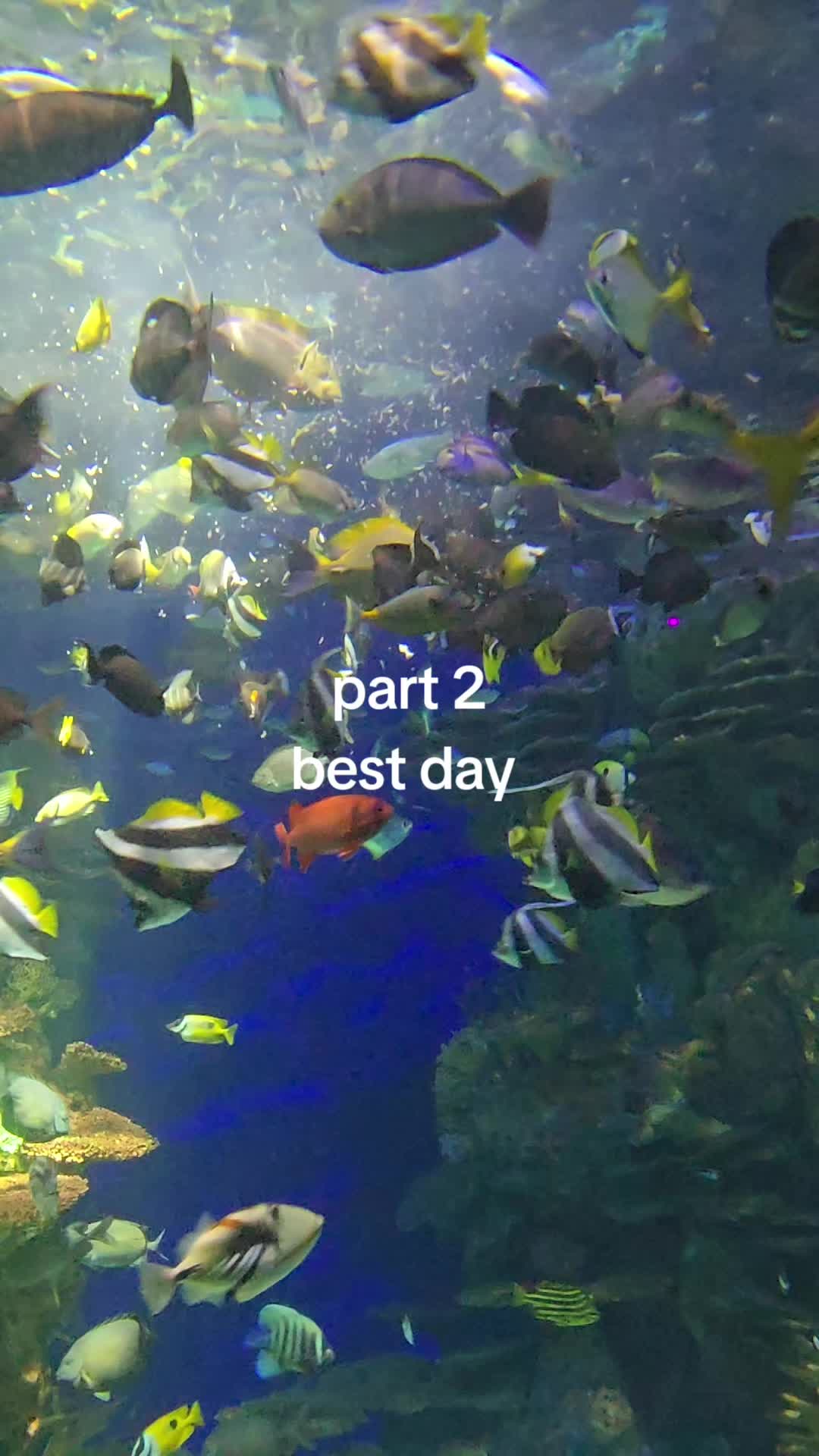 @Kathy and TurboTim