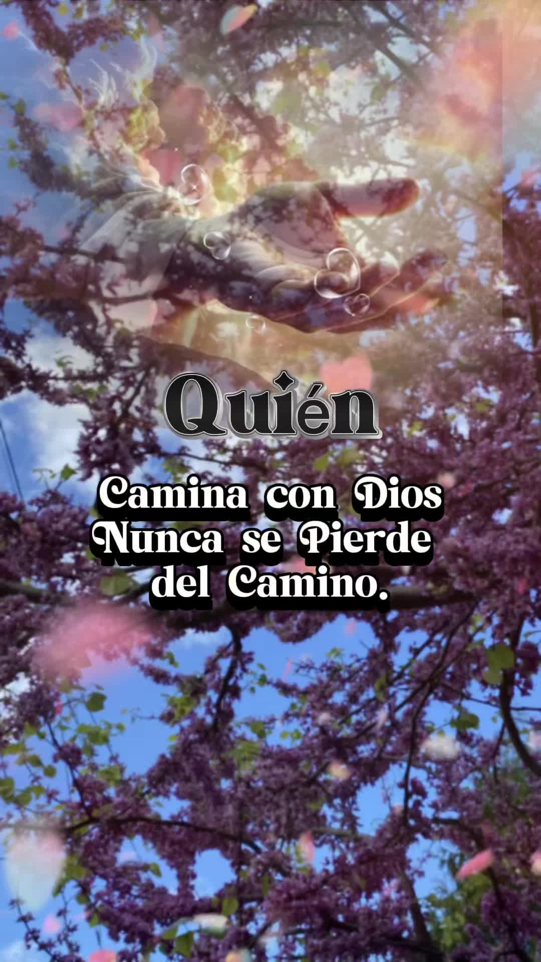 @Marcela