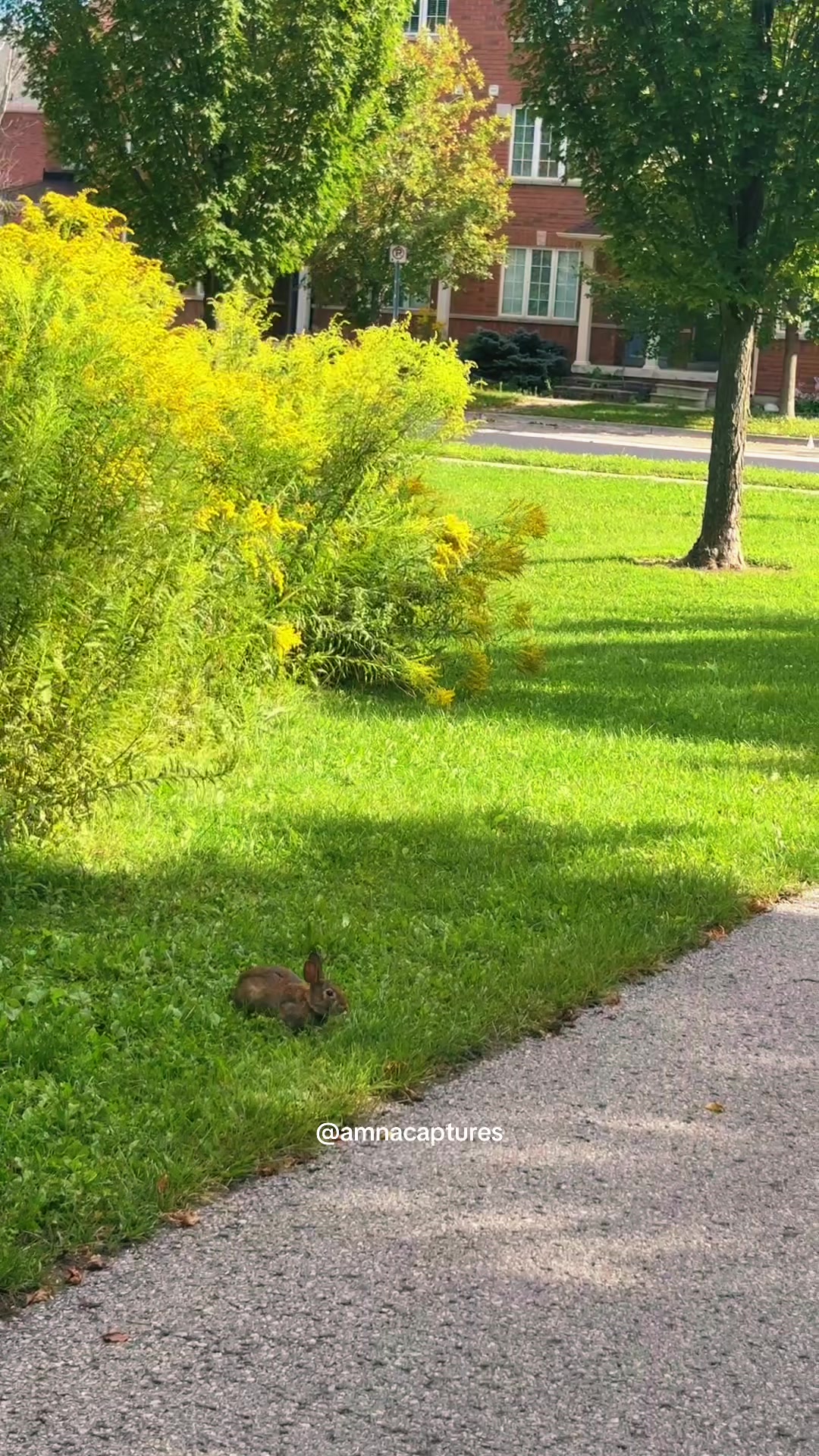 @Nature lover  🇨🇦