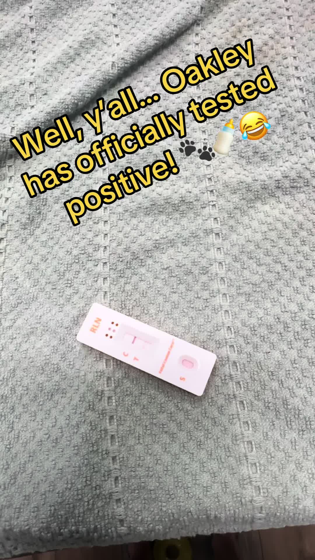 @RRFarmLabs