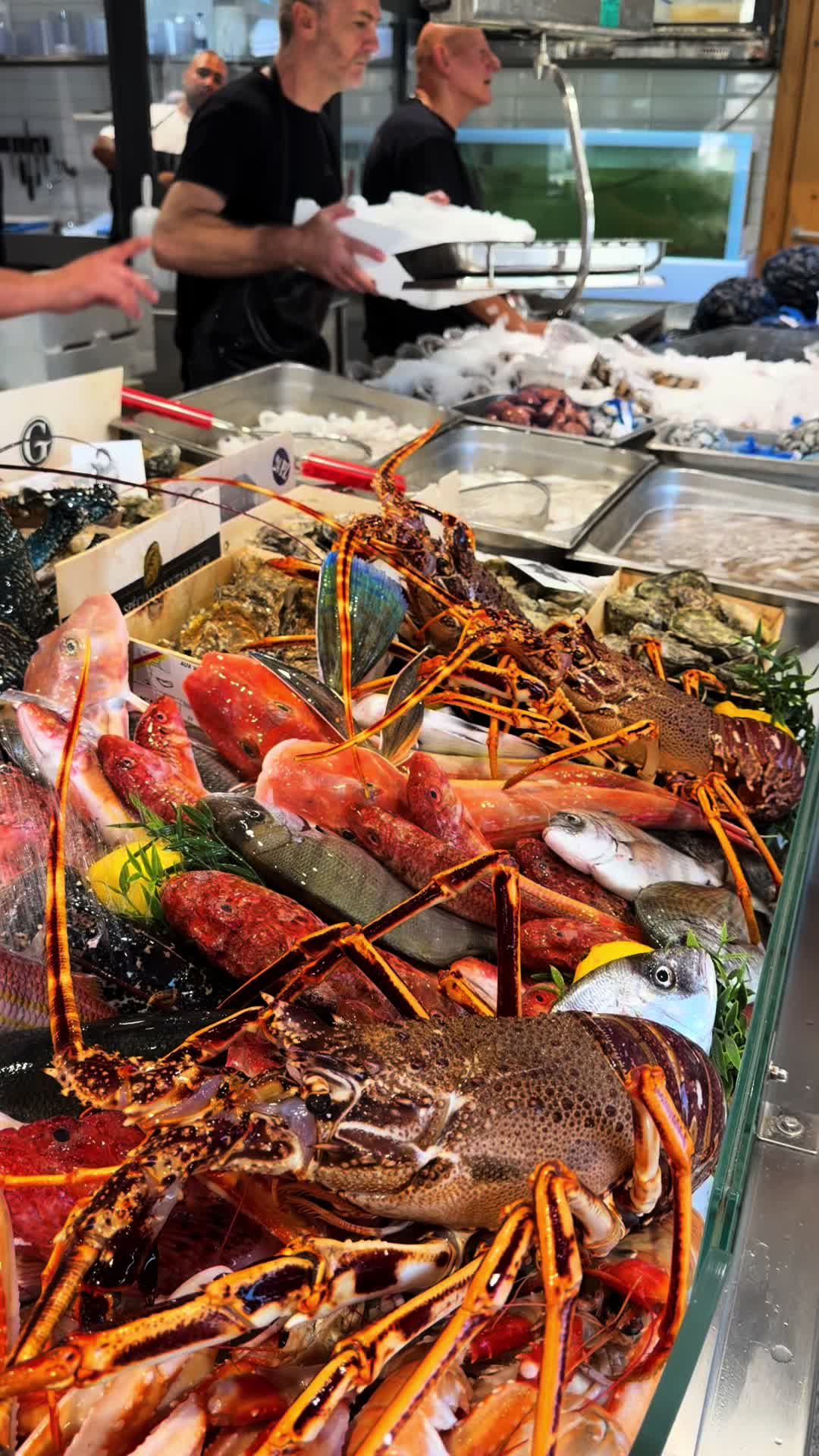 @Pescheria nautilus ostuni