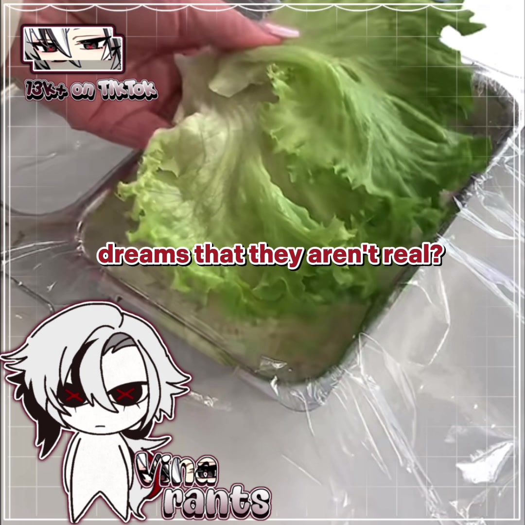 @𑣲┆ѵíղα ˚.⋆ֹ