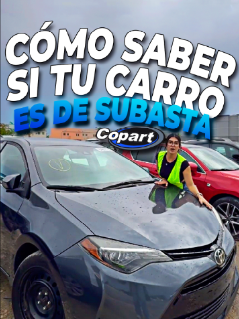 @Mapa Broker