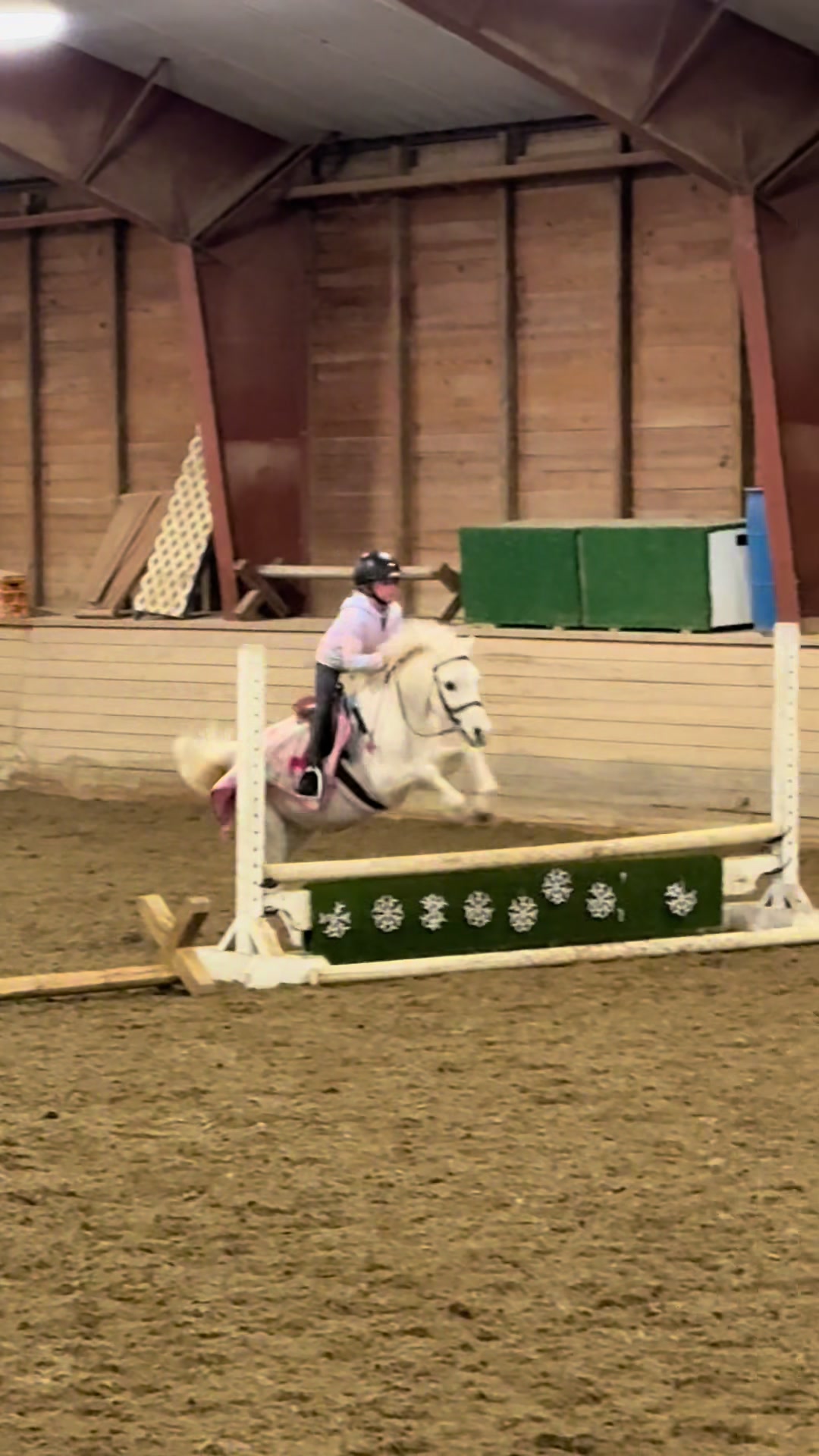@ckponies