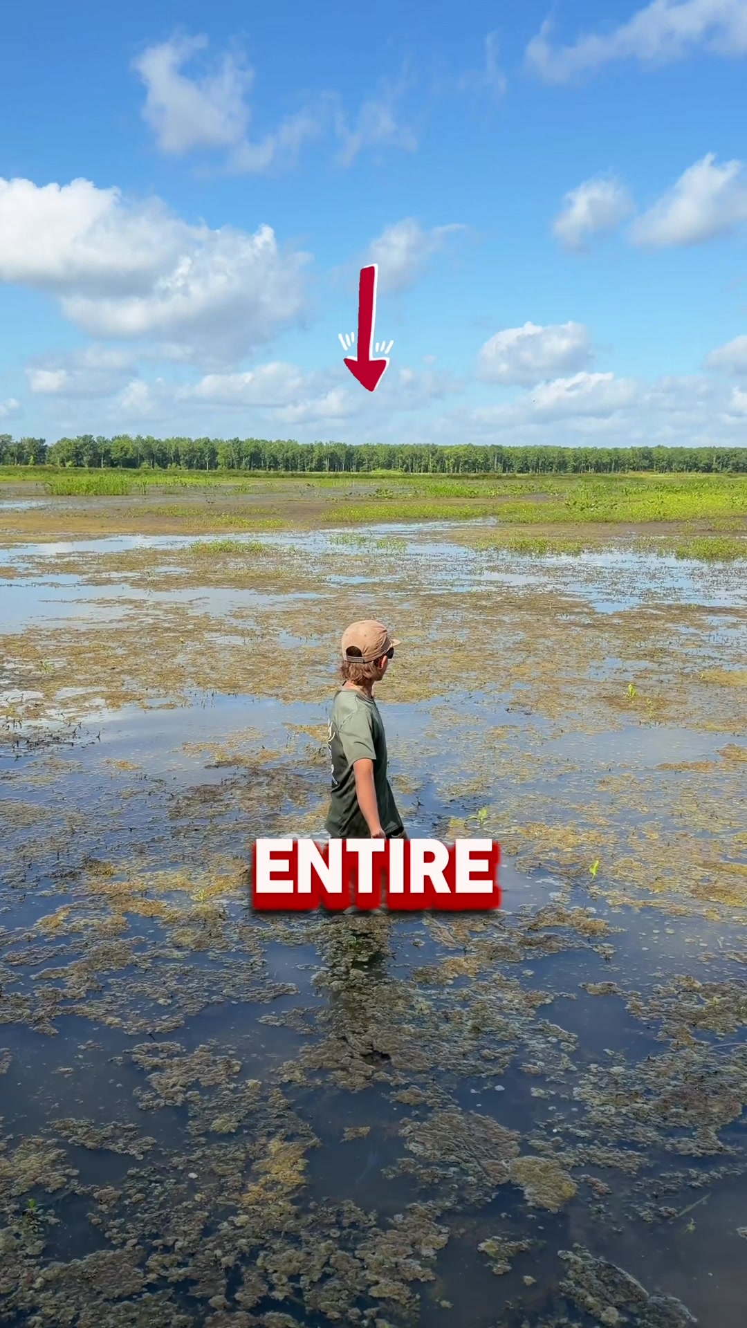 @louisianacrawfishco