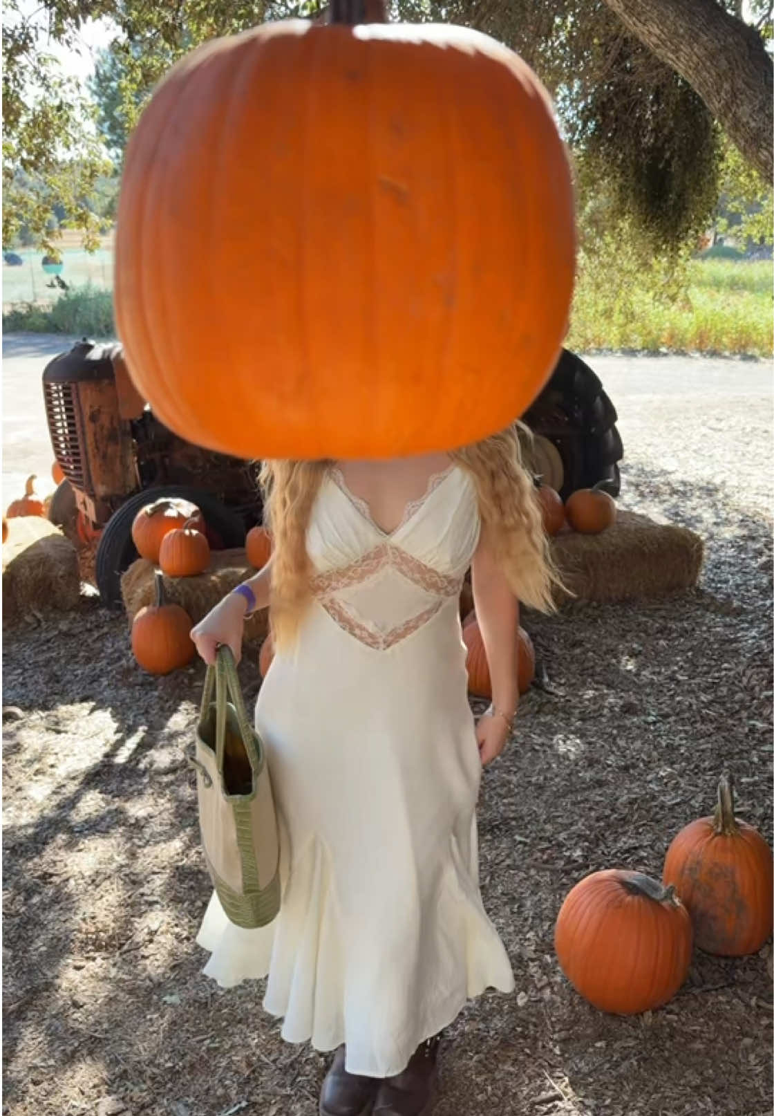 @issadaviss