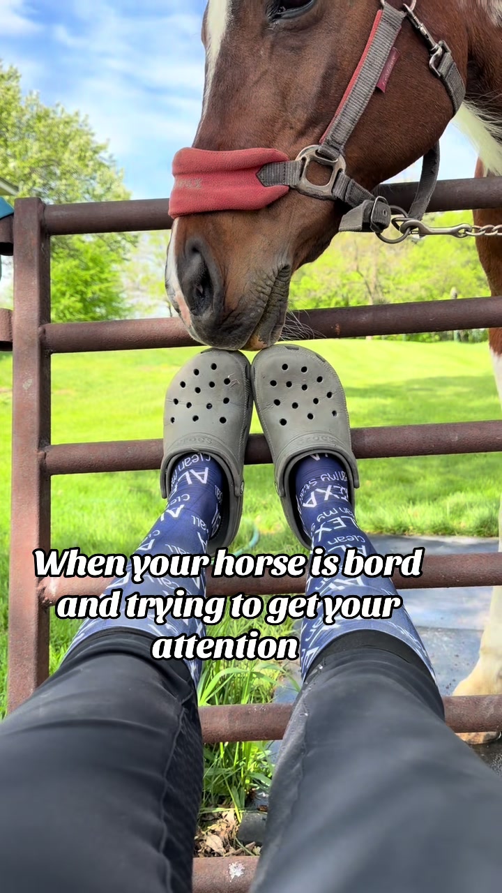 @Lexi
