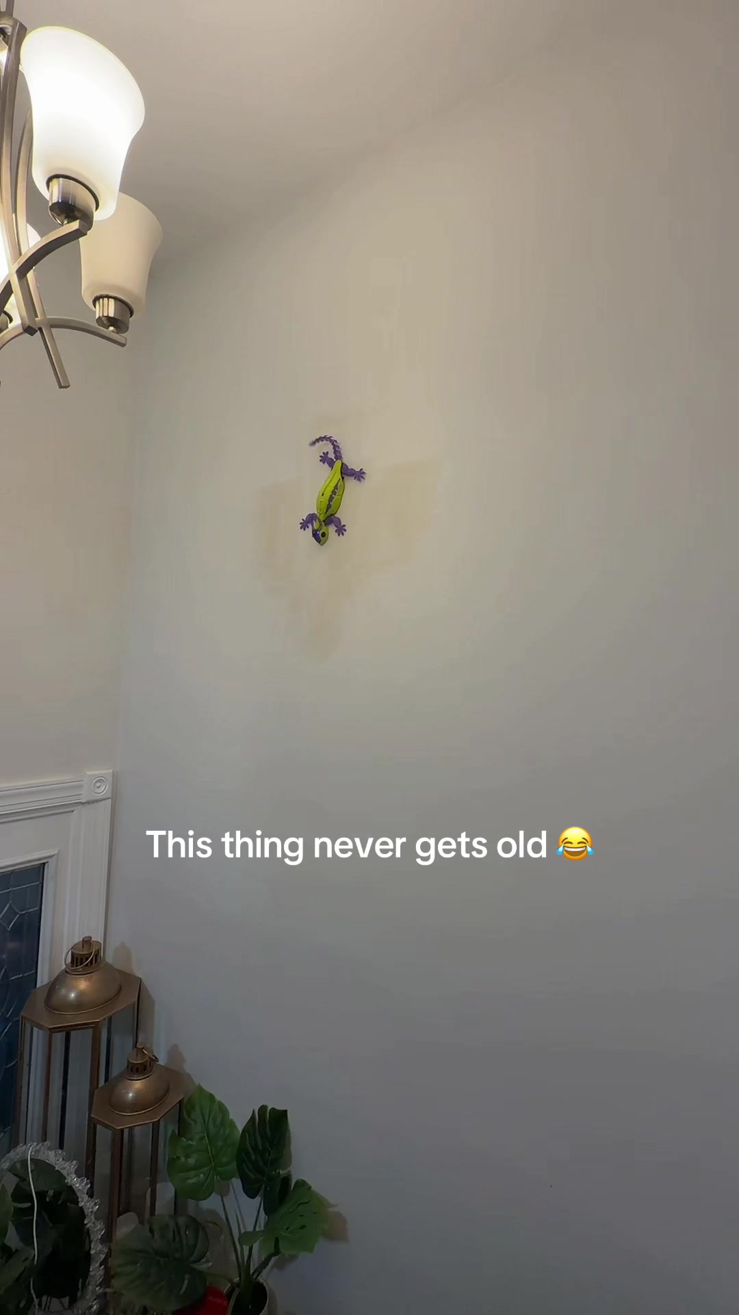 @Debbie 🐝