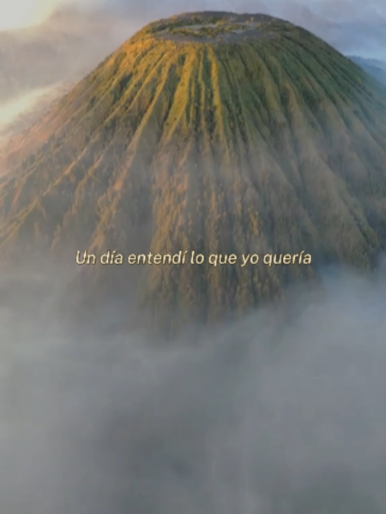 @Sanando a tu ex