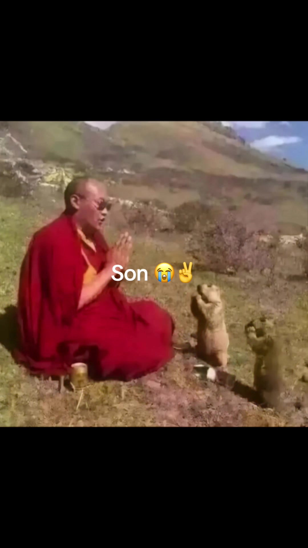 @dailymarmot00