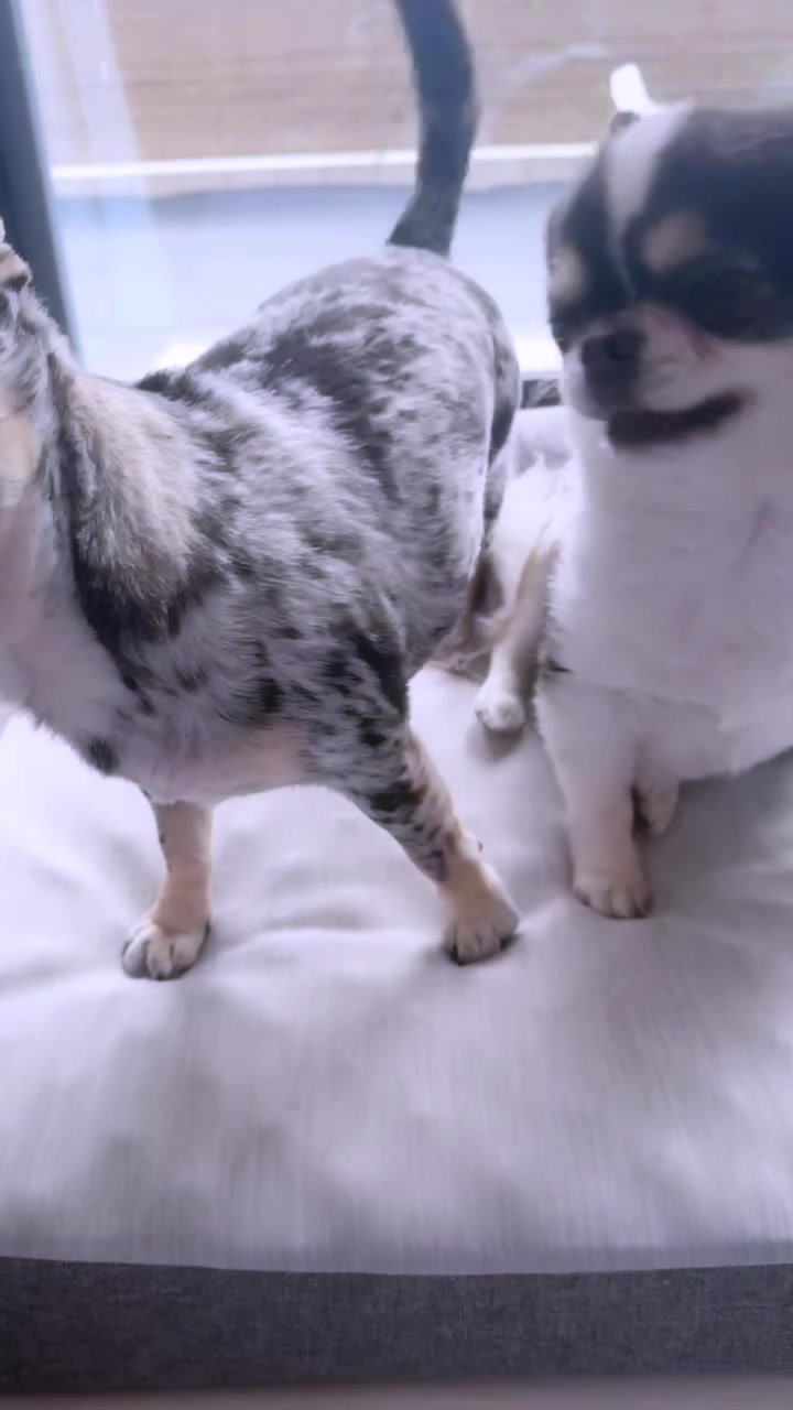 @nagisaðð âïžð¬ð«§