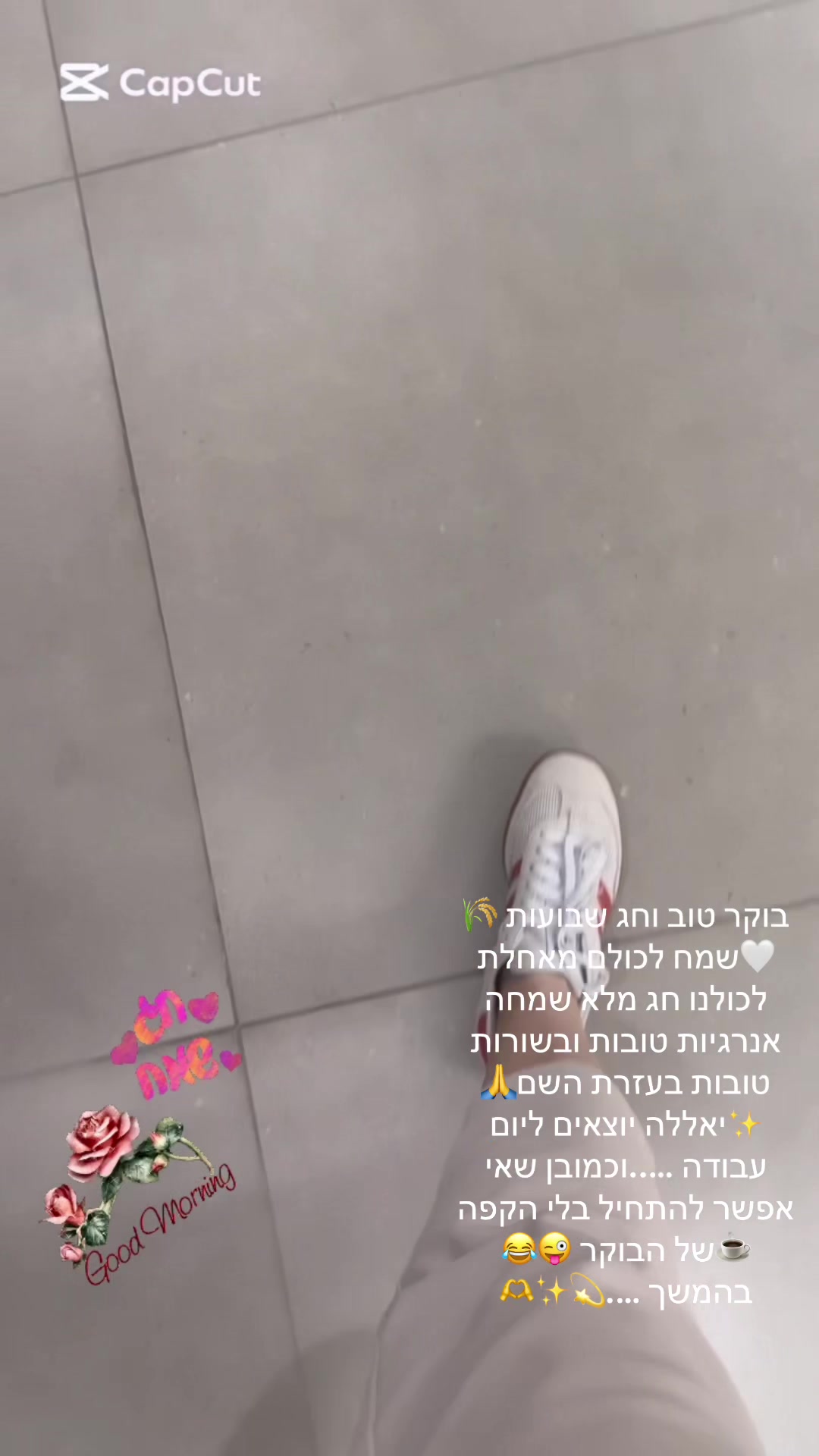 @סטיילינג/ שופרית /הום סטיילינג