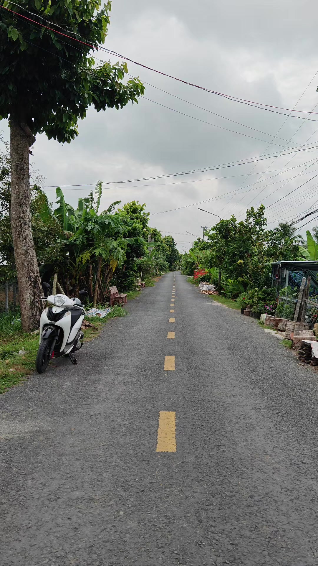@Bất Động Sản Cần Thơ
