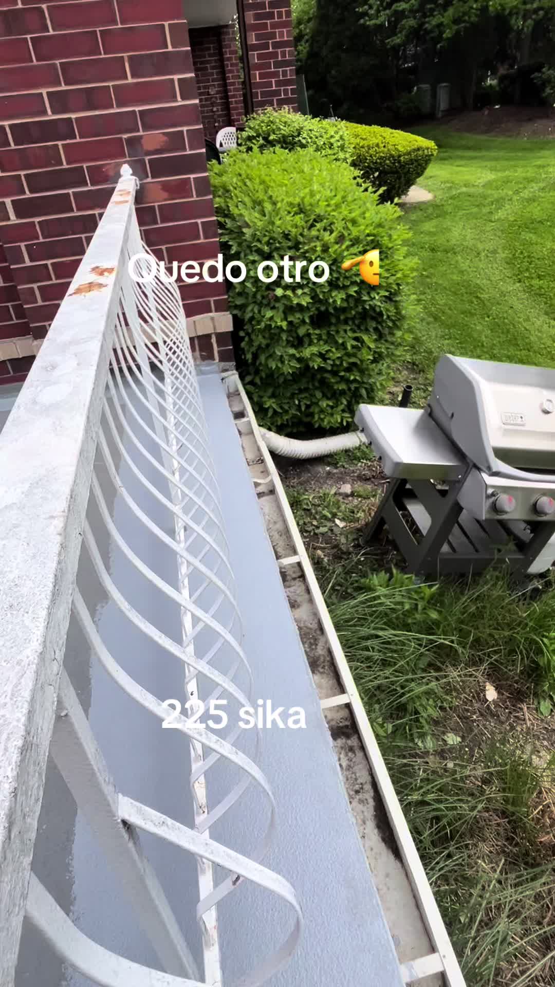 @Felino87