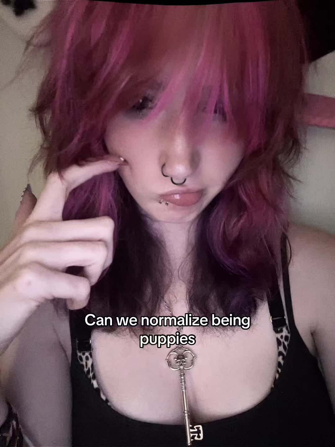 @⋆🐾° ʟᴇᴏɴ >⩊<