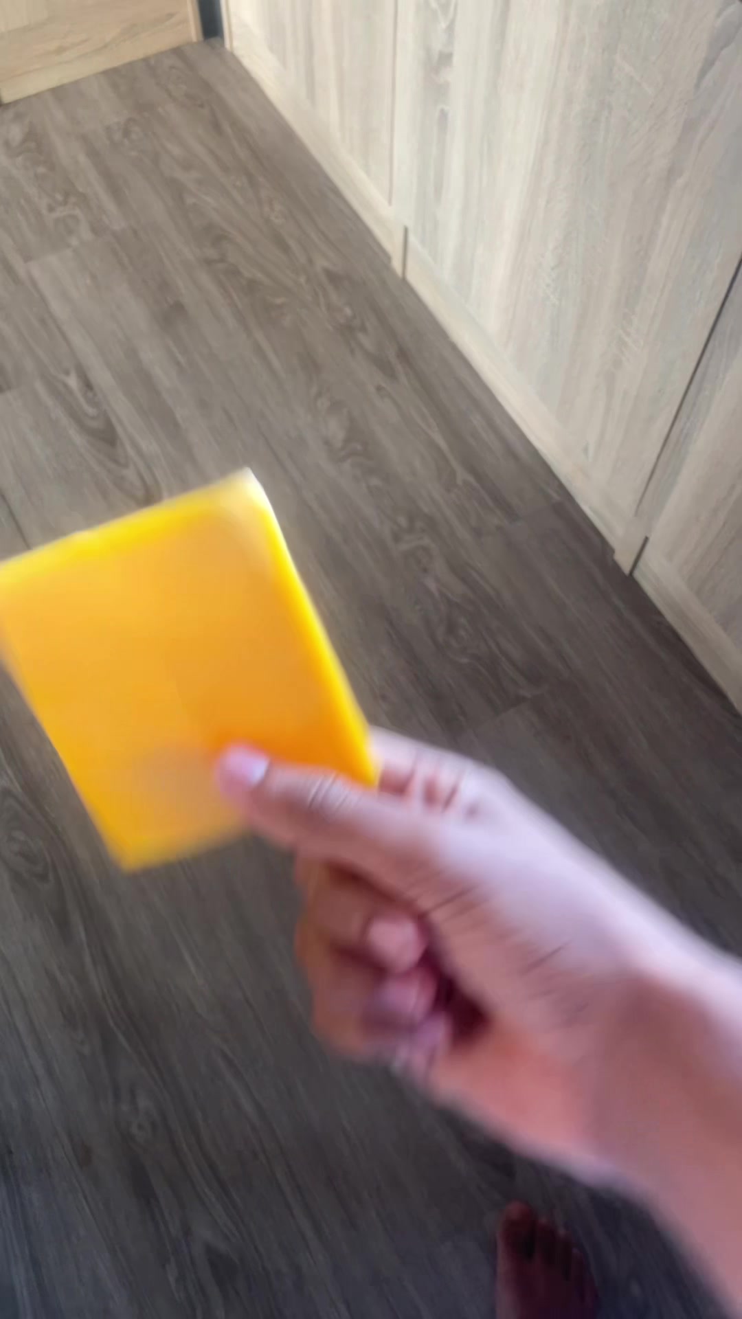 @Elgsz