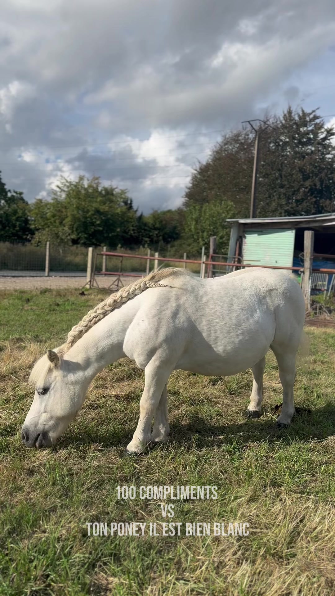 @benjyylepetitponey