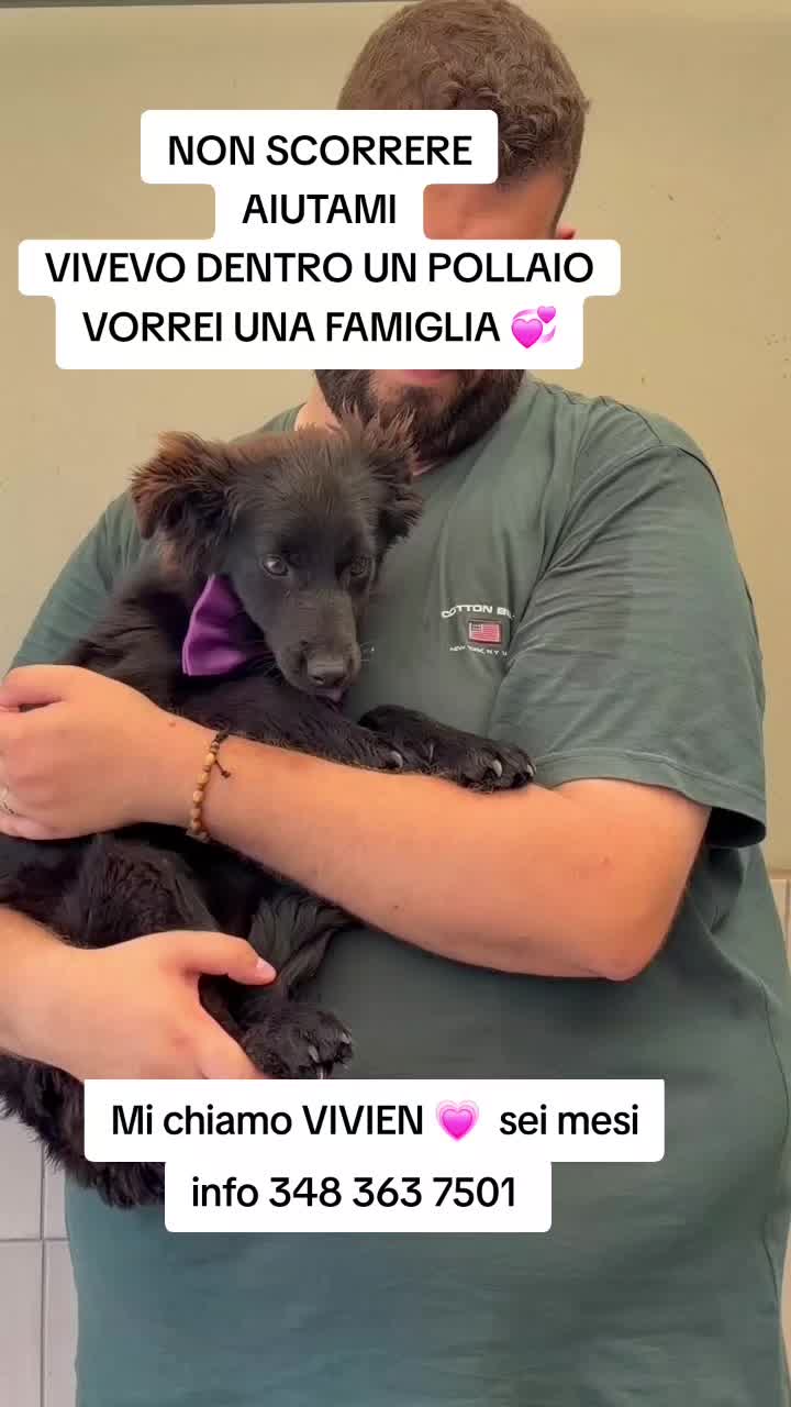 @Manuela
