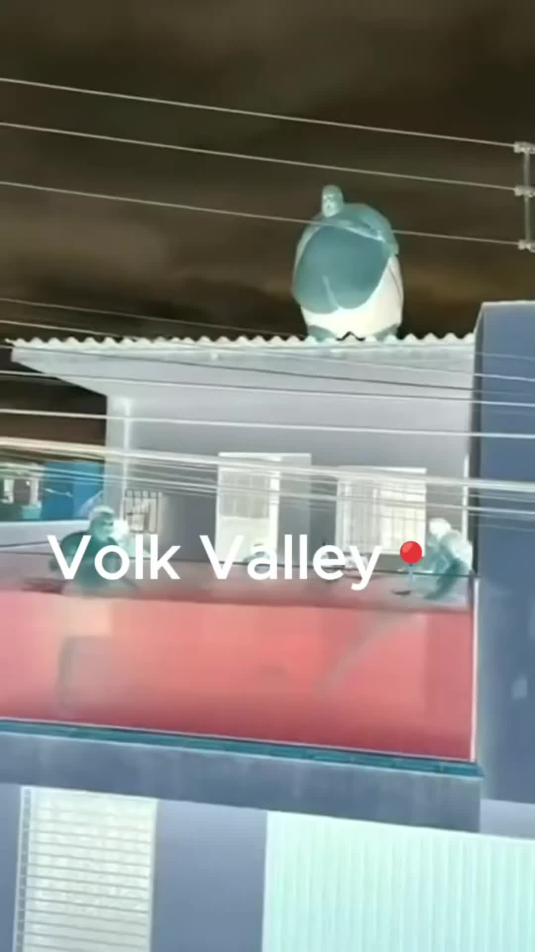 @𝕱𝖊𝖑𝖎𝖝