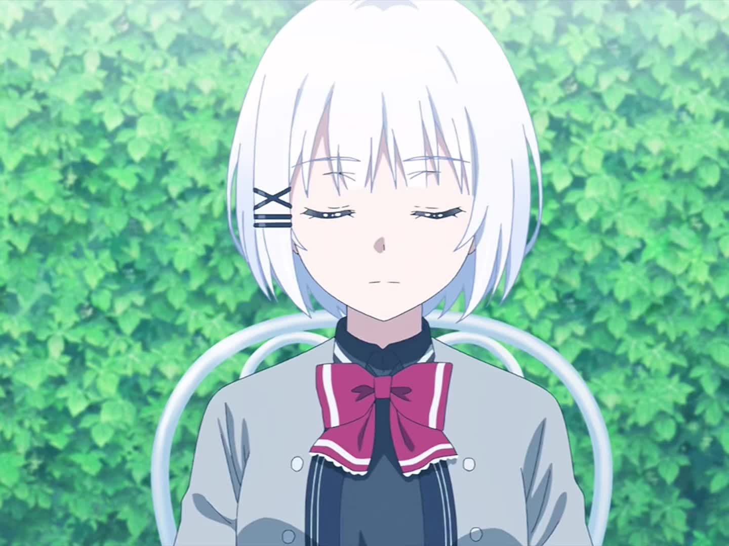 @Ranime