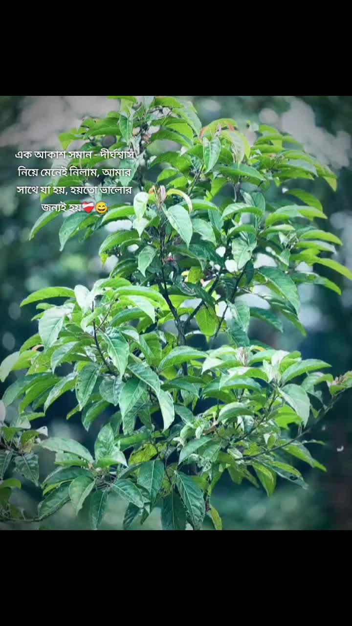 @đ§âī¸ FaRiađ§âī¸