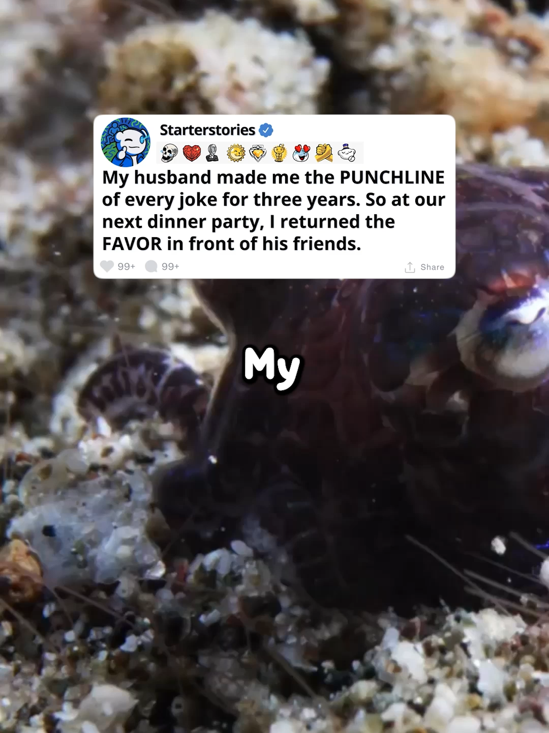 @Reddit Videos