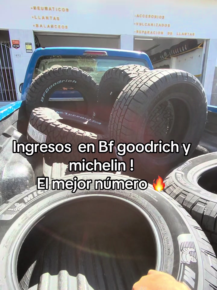 @Los Viejos Gomeria
