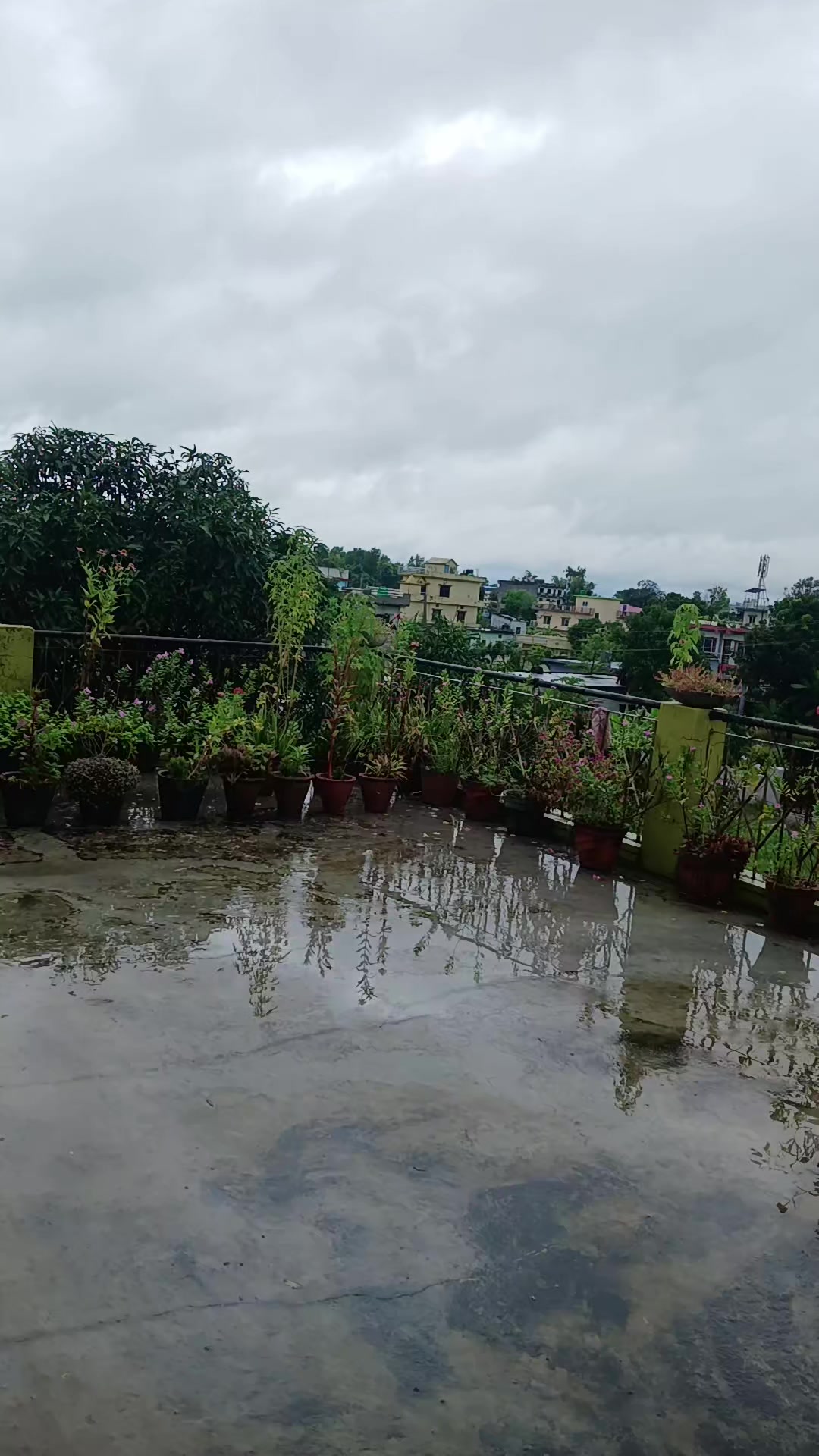 @सपना फेसन सप