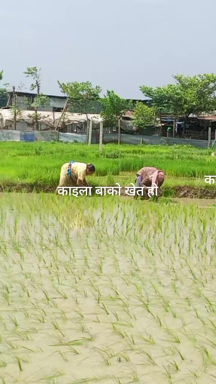 @Bhima Niraula