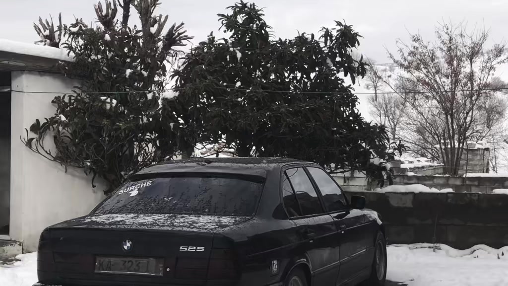 @﮼حەمۆی | 🇩🇪ᗷᗰᗯ