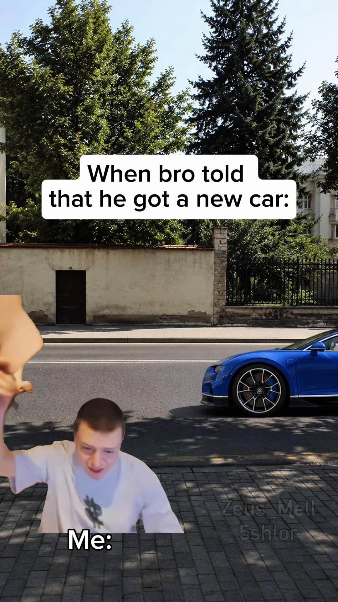 @ZeusMell