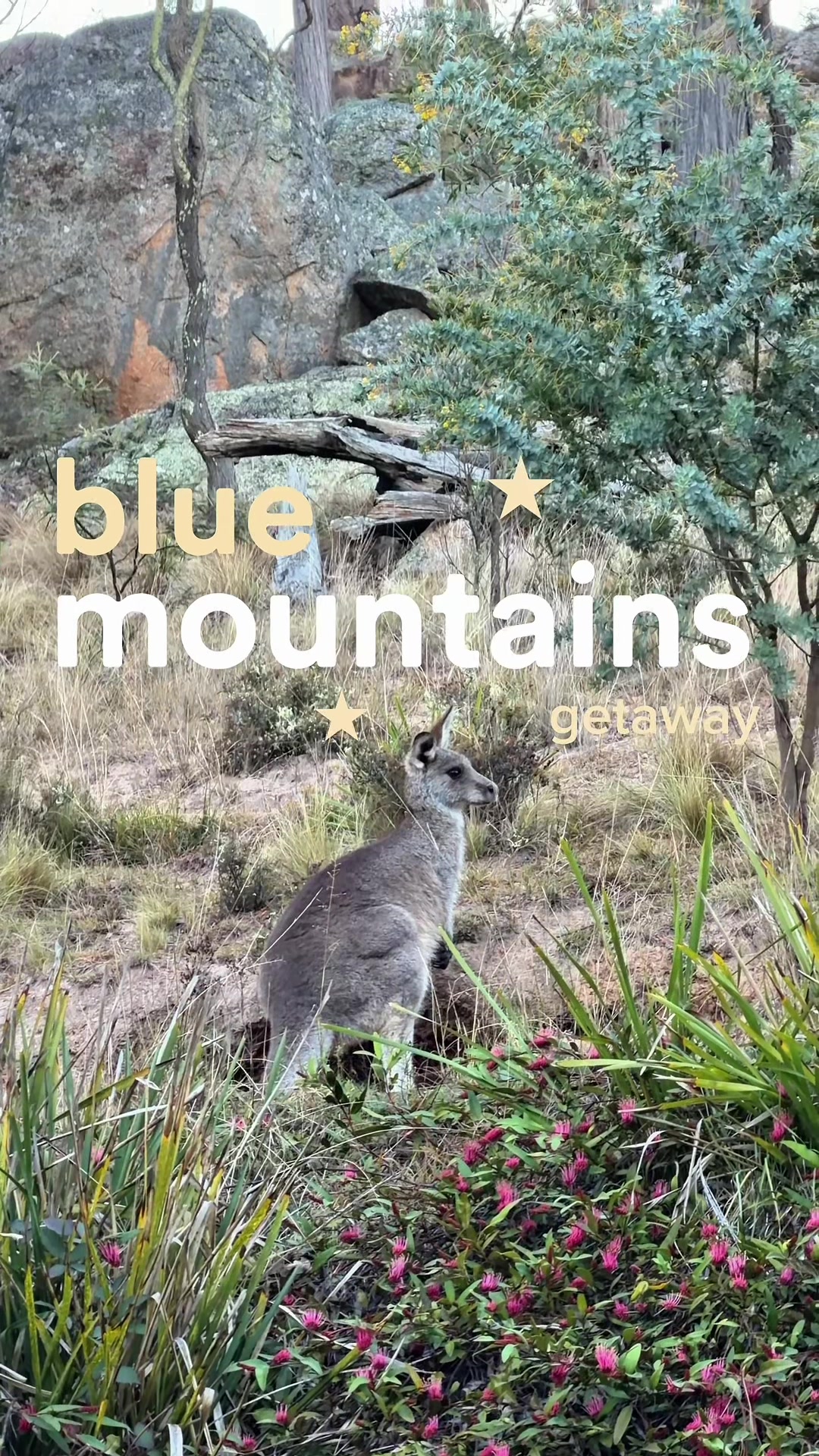 @Janina | Sydney
