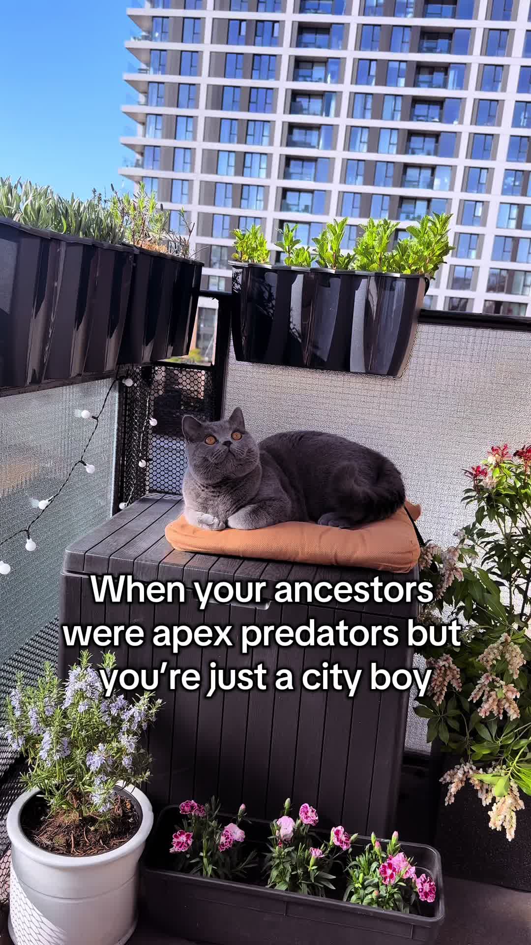 @Ozzy Boi