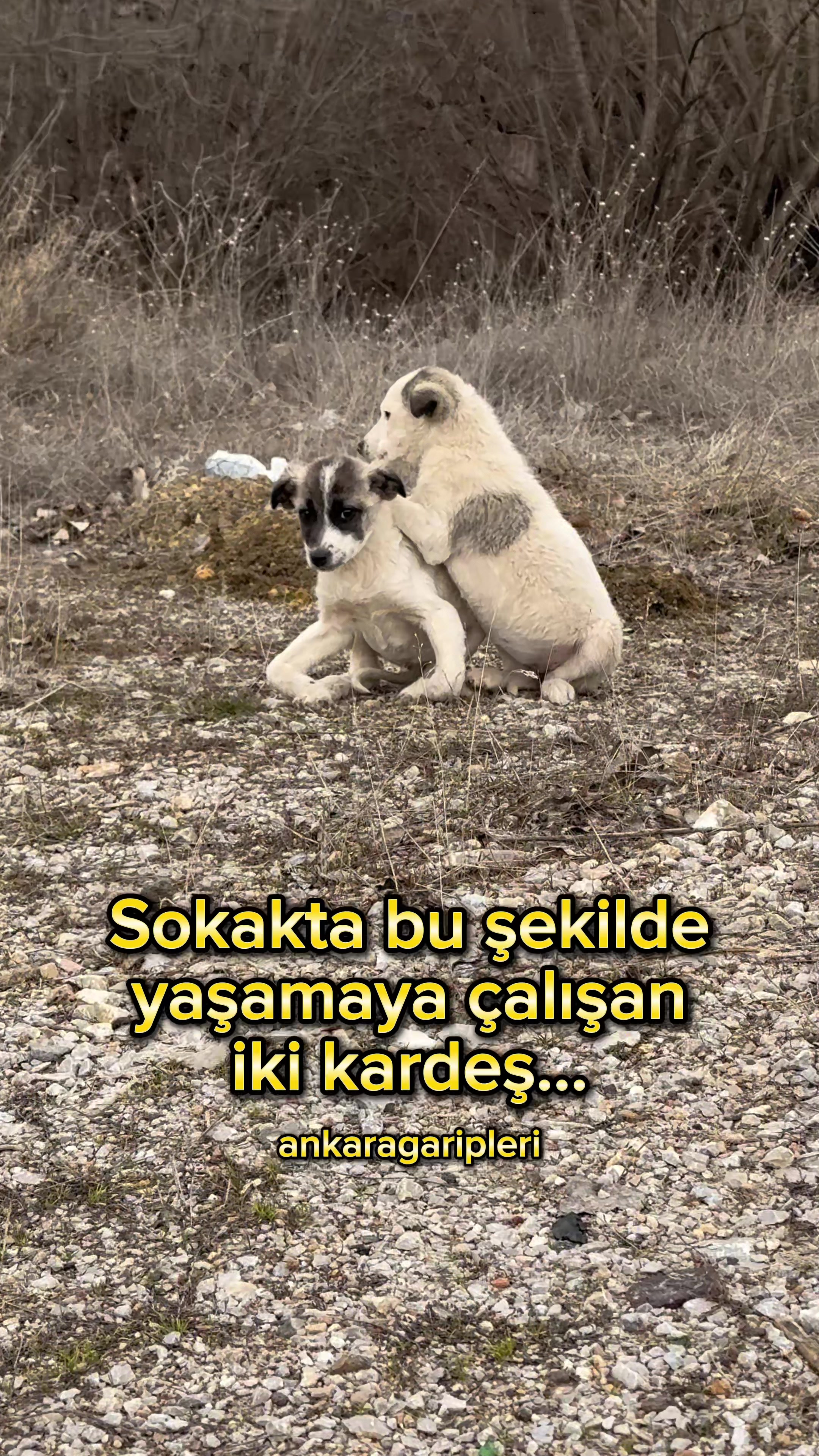@Asiye