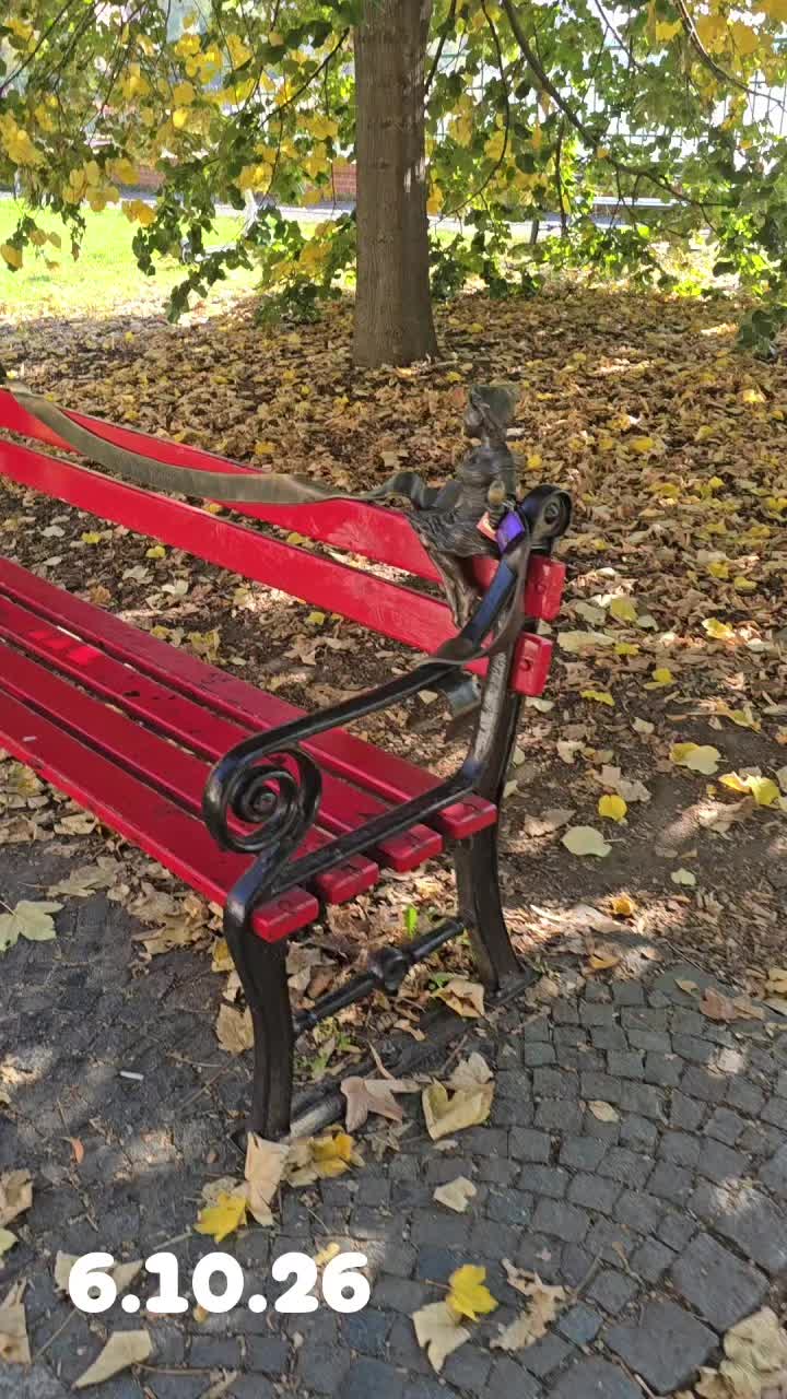 @Małgosia🐻💋💞,🐕💔