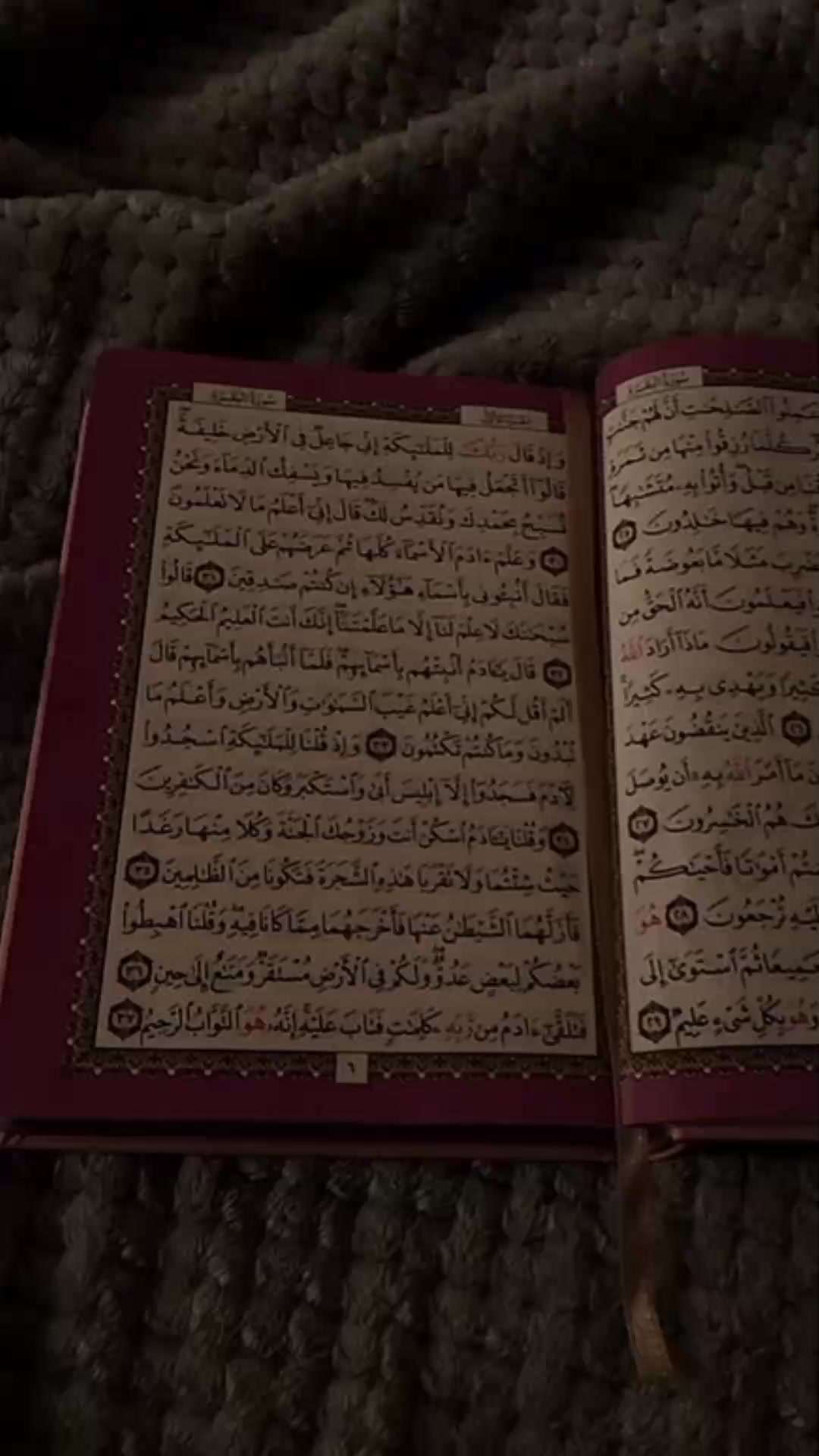 @راحة نفسية 🤍🎧 Quran