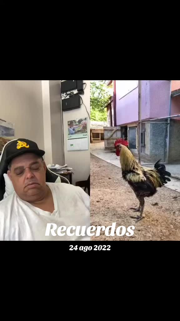 @julio s&oacute;lido 31