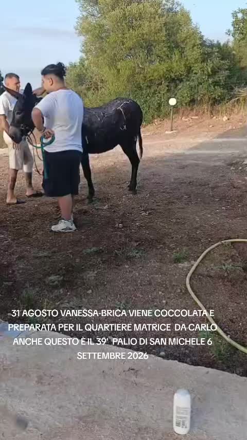 @ENZO CAVALIERI