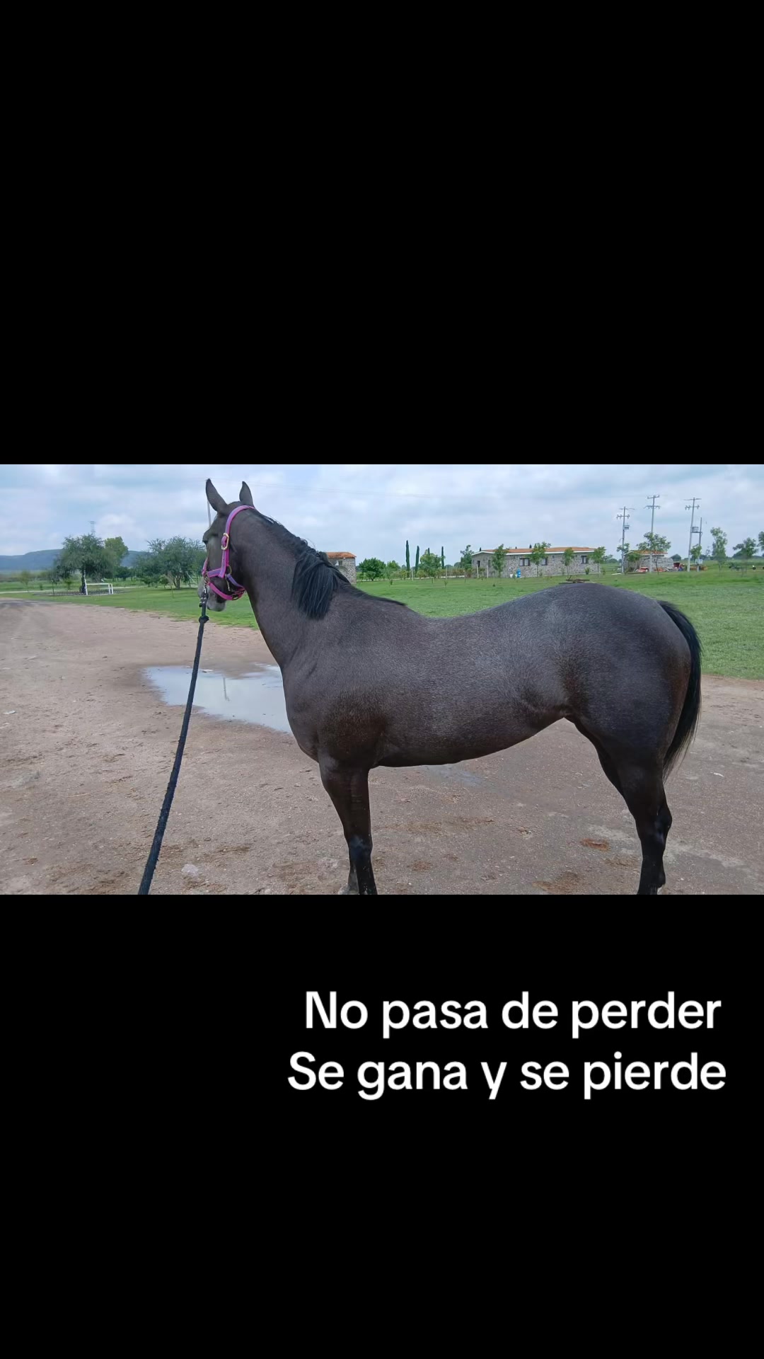 @cuadraherradero15