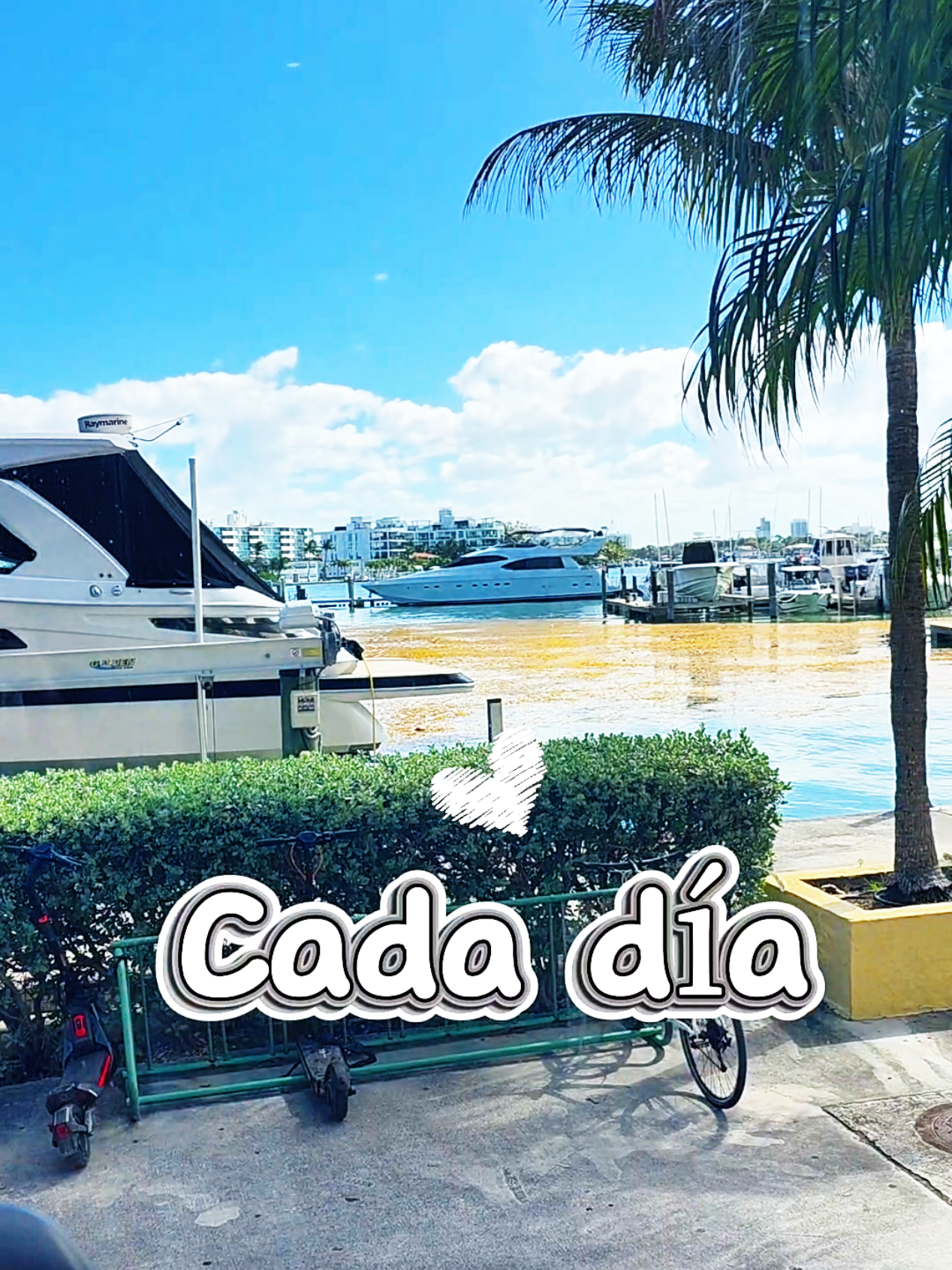 @✨️Gabulina Riquelme ✨️