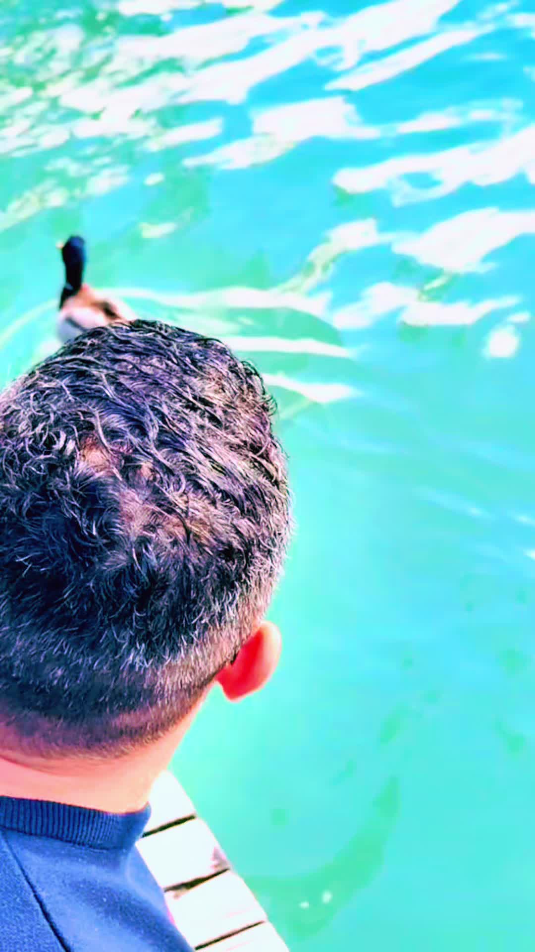 @𝓞𝓾𝓼𝓼𝓪𝓶𝓪