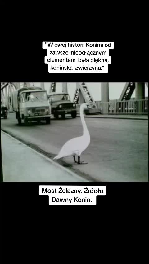 @Konińskie Widoki