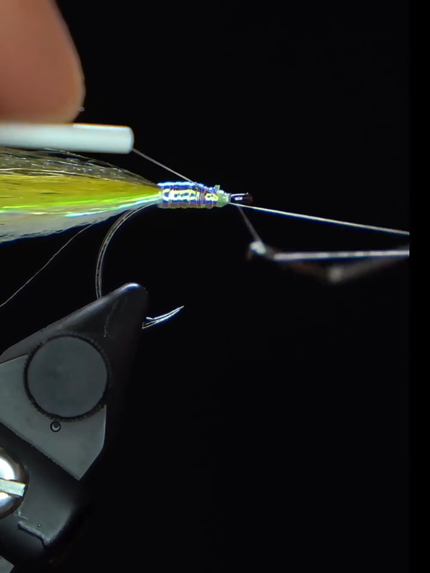 @veevusFishing