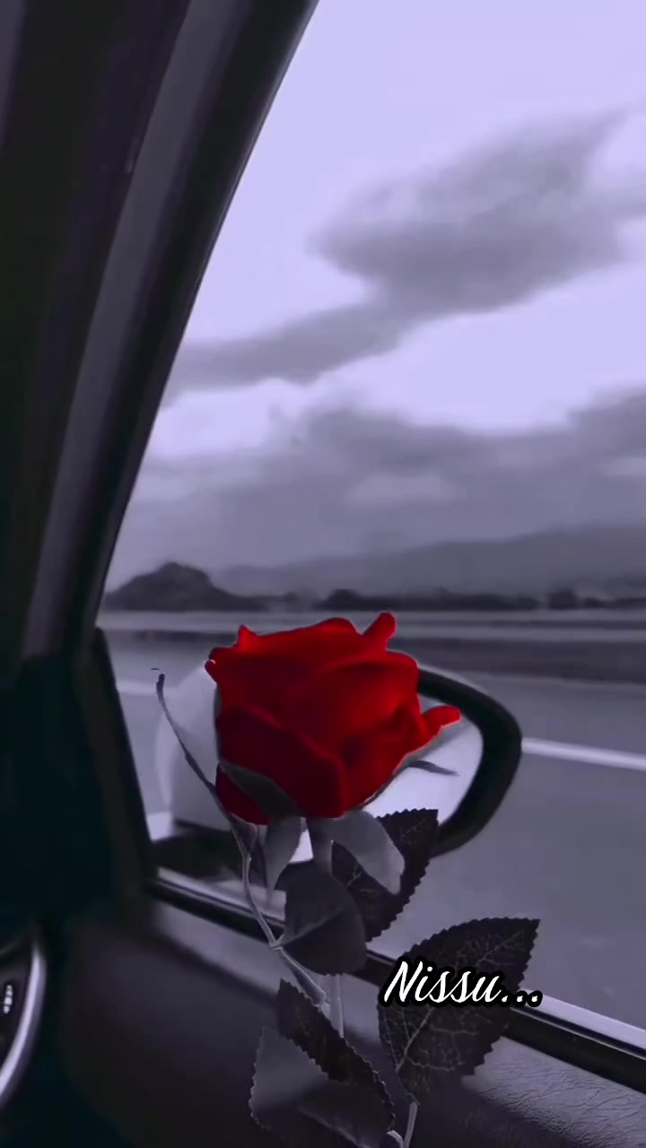 @⭕☭⃞𝕤𝕒𝕘𝕒𝕧ℕ𝕚𝕤𝕤𝕦🚩⭕