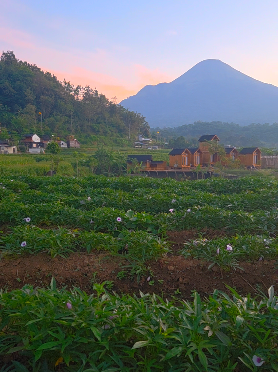 @Slow living Trawas