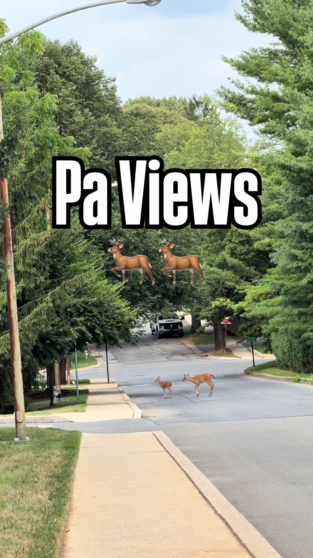 @Berks County Views