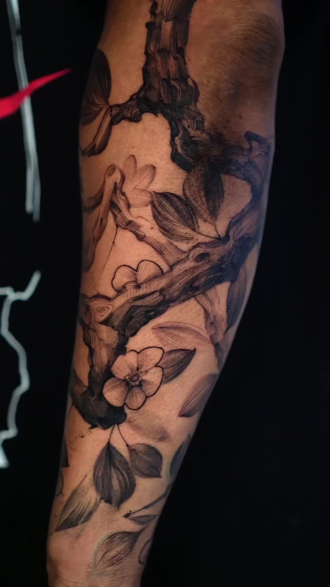 @staydrawlin