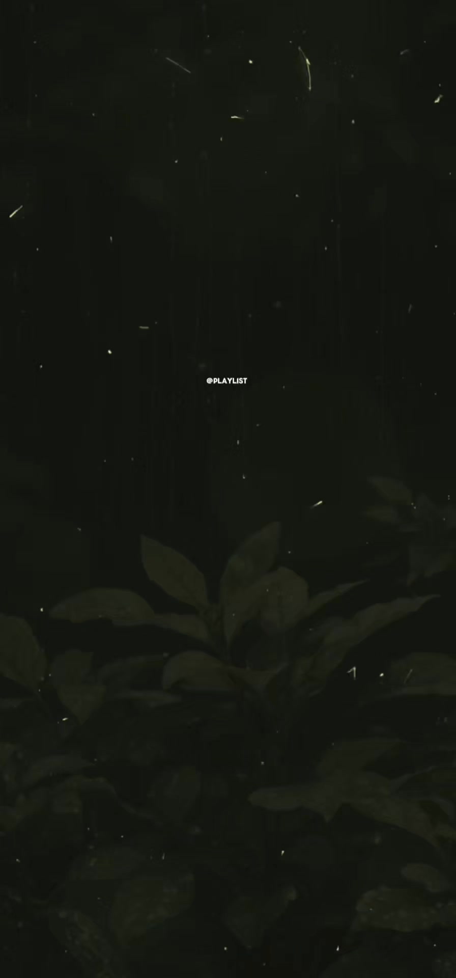 @playlist.ִֶָ🪽་༘࿐