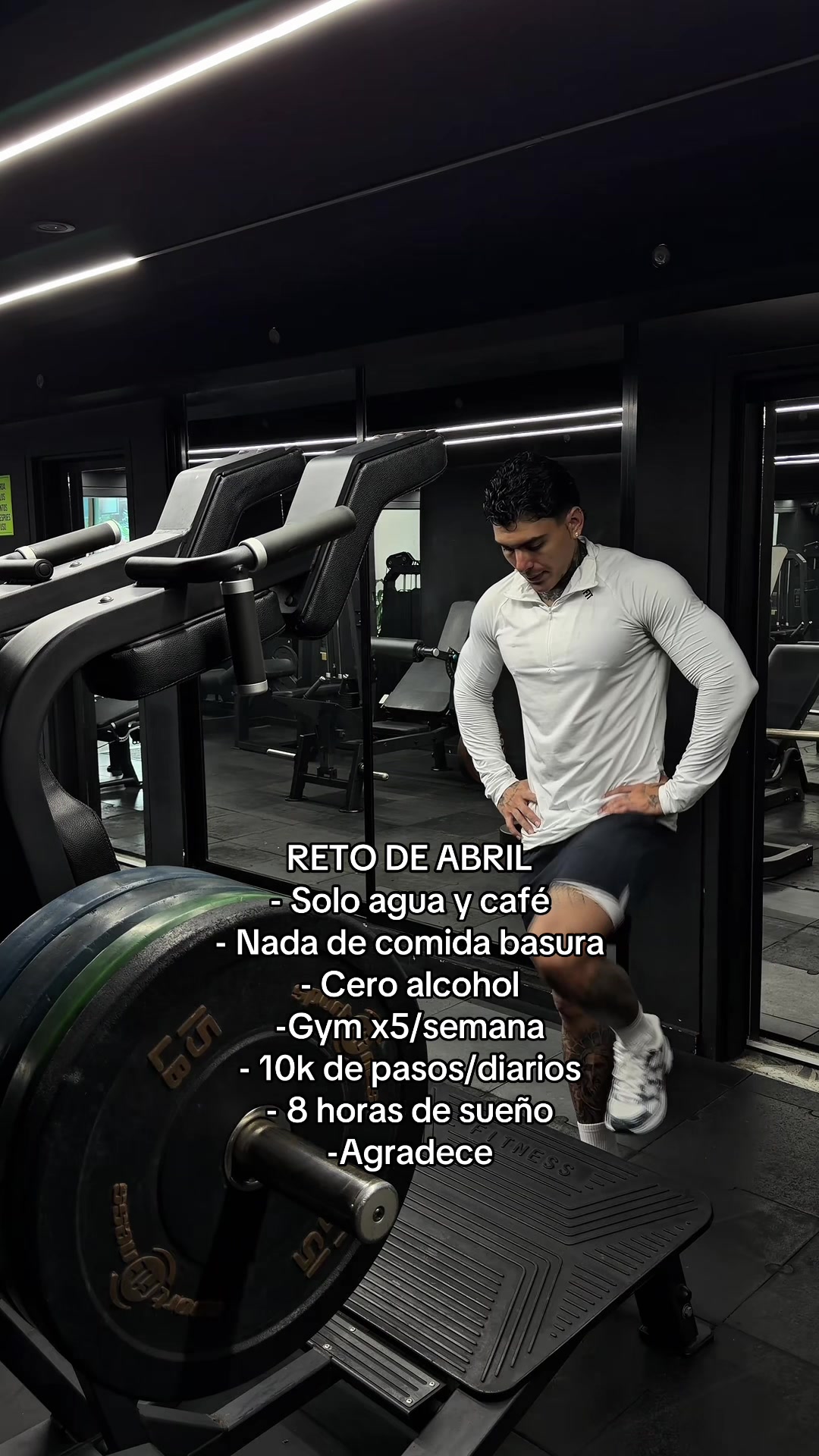 @Dani Machado 🦉
