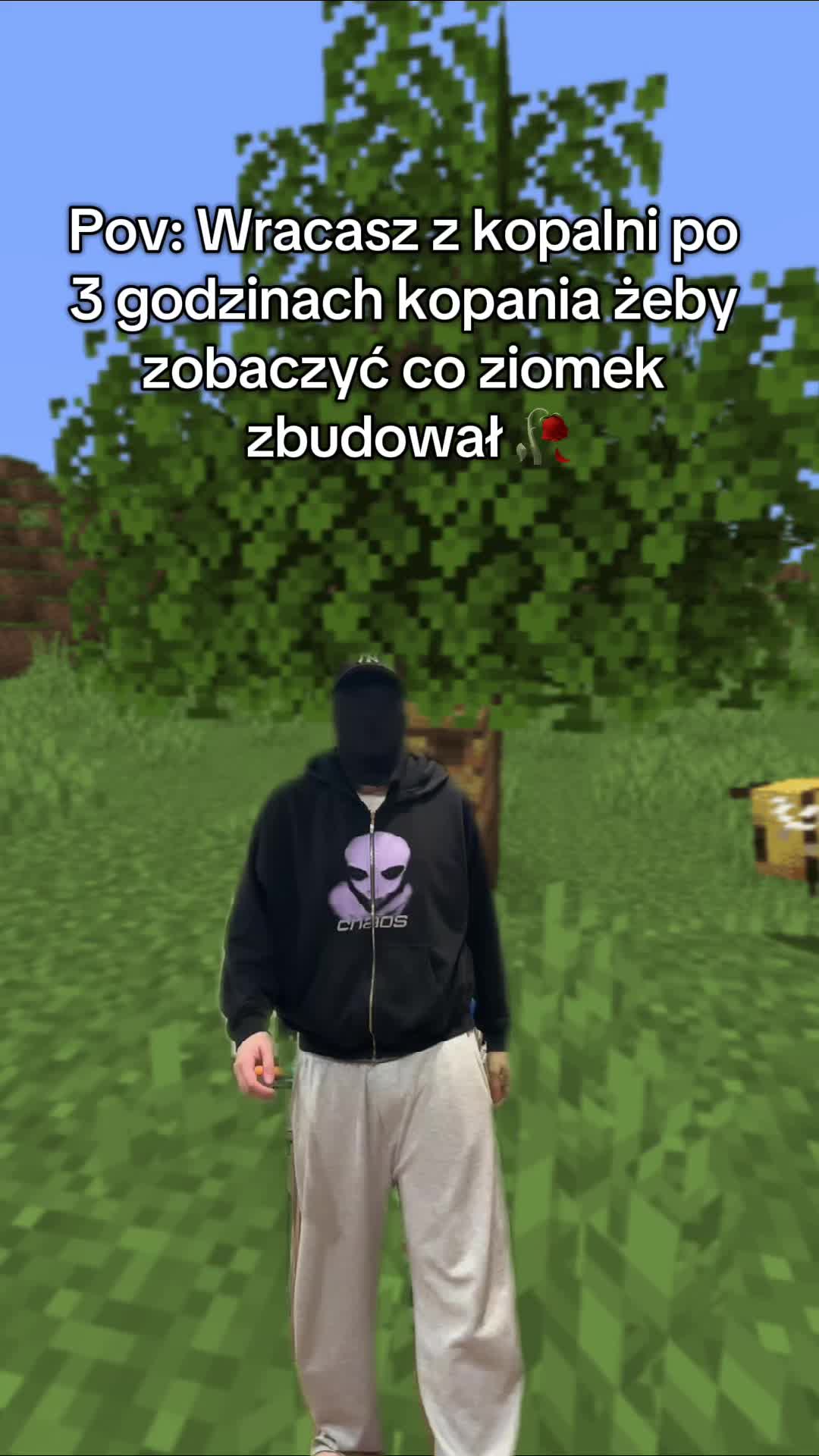 @czapson